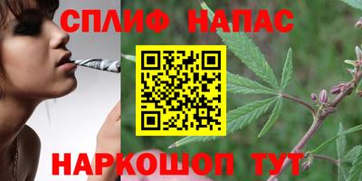 spice Будённовск