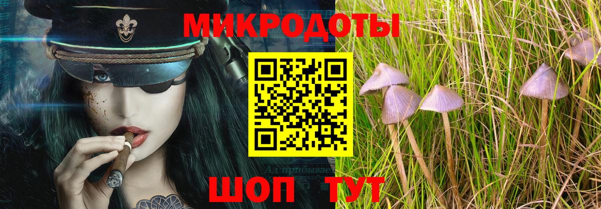 Псилоцибиновые грибы MAGIC MUSHROOMS  наркота  Вход с VPN  Майкоп  Псилоцибиновые грибы мицелий 