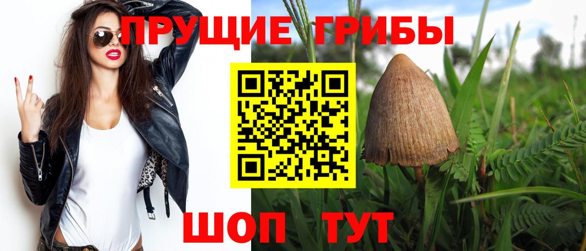 Псилоцибиновые грибы Psilocybine cubensis Майкоп